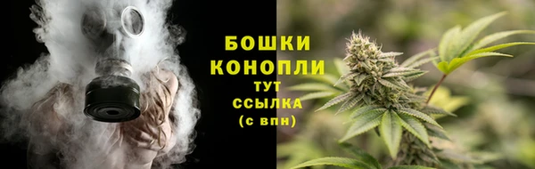 трава Майский