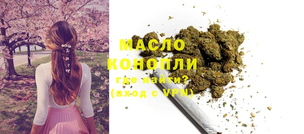 стаф Тутаев